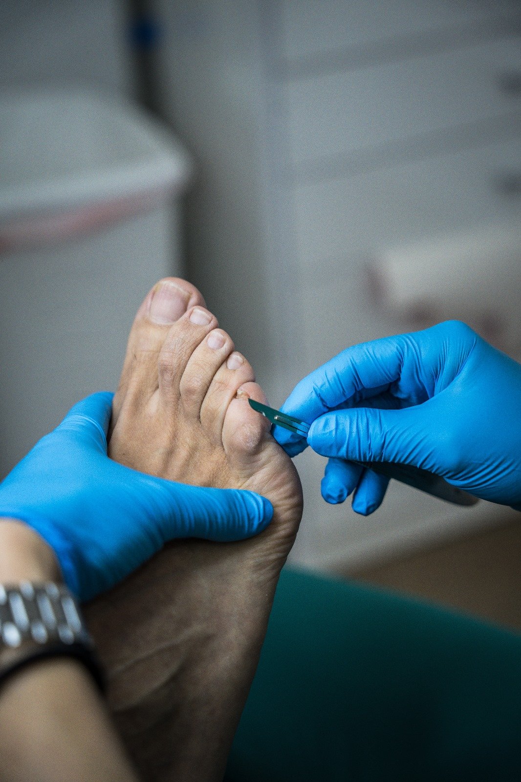 QuiropodiasPrincipal